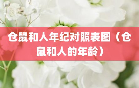 仓鼠和人年纪对照表图（仓鼠和人的年龄）