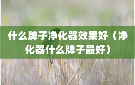 什么牌子净化器效果好（净化器什么牌子最好）