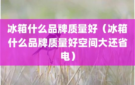 冰箱什么品牌质量好（冰箱什么品牌质量好空间大还省电）