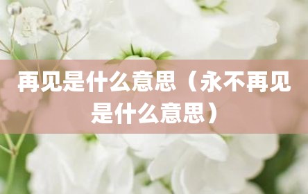 再见是什么意思（永不再见是什么意思）