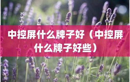 中控屏什么牌子好（中控屏什么牌子好些）