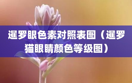 暹罗眼色素对照表图（暹罗猫眼睛颜色等级图）