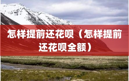 怎样提前还花呗（怎样提前还花呗全额）