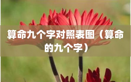 算命九个字对照表图（算命的九个字）