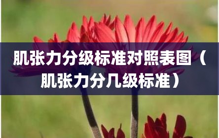 肌张力分级标准对照表图（肌张力分几级标准）