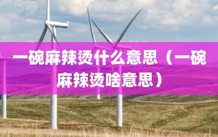 一碗麻辣烫什么意思（一碗麻辣烫啥意思）