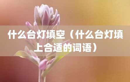 什么台灯填空（什么台灯填上合适的词语）
