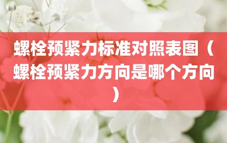 螺栓预紧力标准对照表图（螺栓预紧力方向是哪个方向）