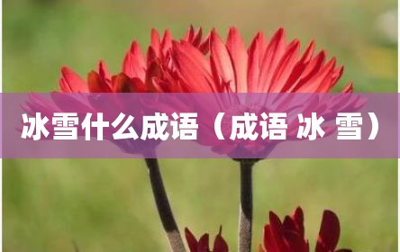 冰雪什么成语（成语 冰 雪）