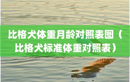 比格犬体重月龄对照表图（比格犬标准体重对照表）