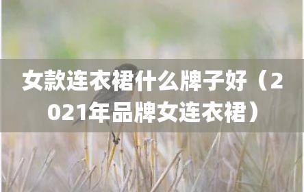 女款连衣裙什么牌子好（2021年品牌女连衣裙）