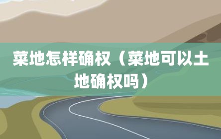 菜地怎样确权（菜地可以土地确权吗）