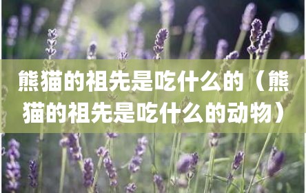 熊猫的祖先是吃什么的（熊猫的祖先是吃什么的动物）