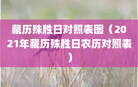 藏历殊胜日对照表图（2021年藏历殊胜日农历对照表）