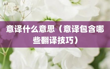意译什么意思（意译包含哪些翻译技巧）
