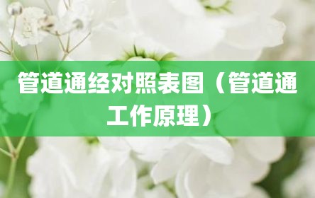管道通经对照表图（管道通工作原理）