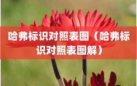 哈弗标识对照表图（哈弗标识对照表图解）