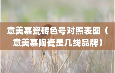 意美嘉瓷砖色号对照表图（意美嘉陶瓷是几线品牌）