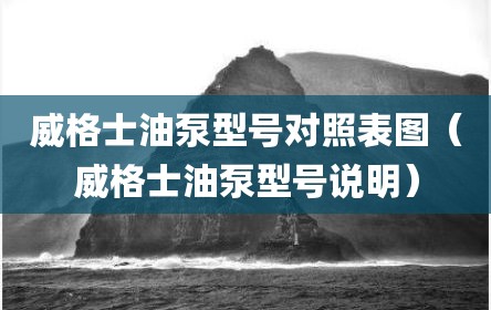 威格士油泵型号对照表图（威格士油泵型号说明）