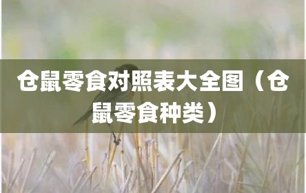 仓鼠零食对照表大全图（仓鼠零食种类）