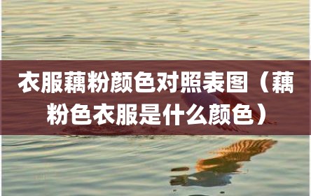衣服藕粉颜色对照表图（藕粉色衣服是什么颜色）