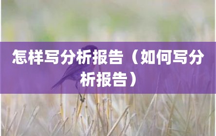 怎样写分析报告（如何写分析报告）