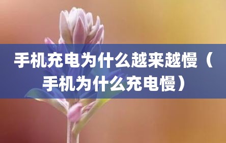 手机充电为什么越来越慢（手机为什么充电慢）