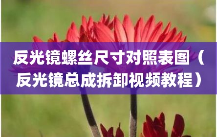 反光镜螺丝尺寸对照表图（反光镜总成拆卸视频教程）