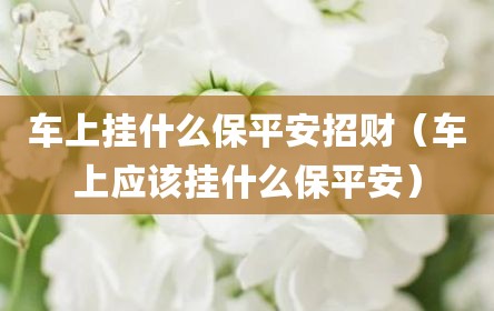 车上挂什么保平安招财（车上应该挂什么保平安）