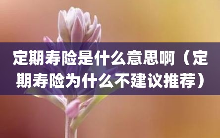 定期寿险是什么意思啊（定期寿险为什么不建议推荐）