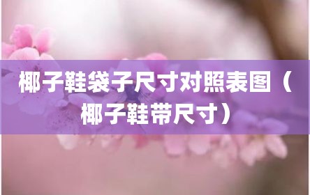 椰子鞋袋子尺寸对照表图（椰子鞋带尺寸）