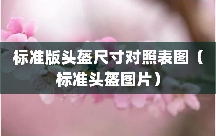 标准版头盔尺寸对照表图（标准头盔图片）