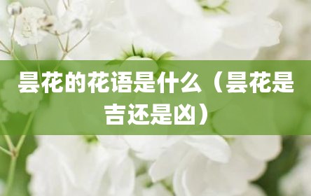 昙花的花语是什么（昙花是吉还是凶）