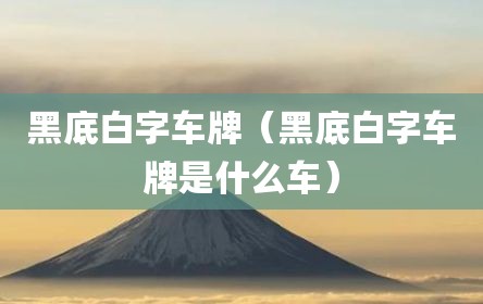 黑底白字车牌（黑底白字车牌是什么车）