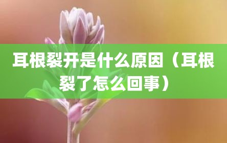 耳根裂开是什么原因（耳根裂了怎么回事）