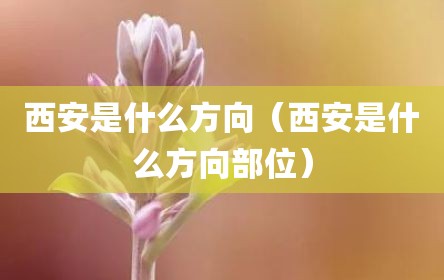 西安是什么方向（西安是什么方向部位）