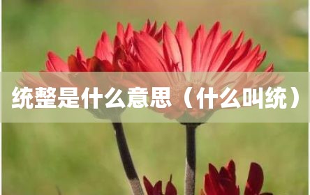 统整是什么意思（什么叫统）