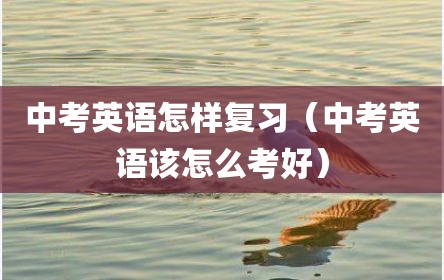 中考英语怎样复习（中考英语该怎么考好）