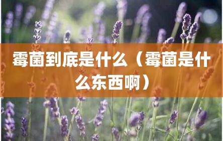 霉菌到底是什么（霉菌是什么东西啊）