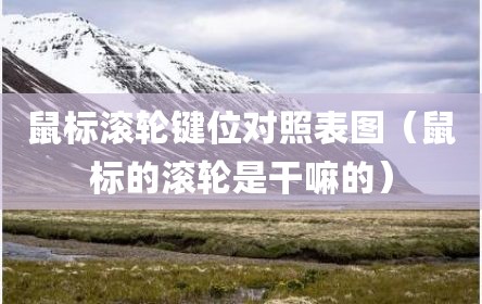 鼠标滚轮键位对照表图（鼠标的滚轮是干嘛的）