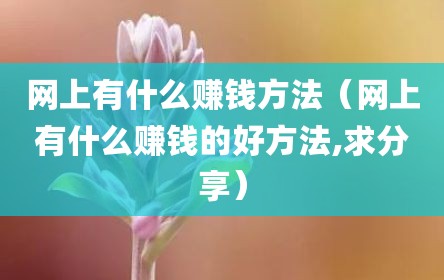 网上有什么赚钱方法（网上有什么赚钱的好方法,求分享）