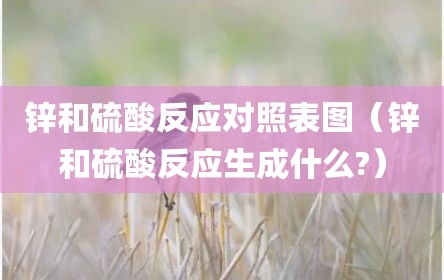锌和硫酸反应对照表图（锌和硫酸反应生成什么?）