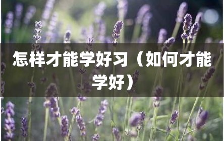 怎样才能学好习（如何才能学好）