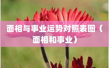 面相与事业运势对照表图（面相和事业）