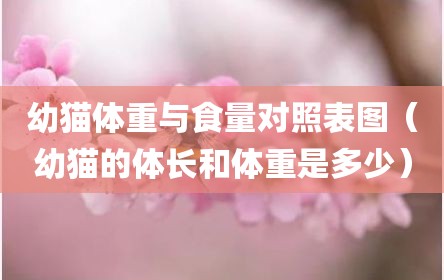 幼猫体重与食量对照表图（幼猫的体长和体重是多少）
