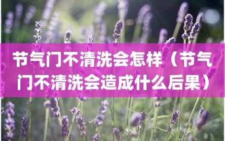 节气门不清洗会怎样（节气门不清洗会造成什么后果）