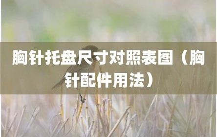 胸针托盘尺寸对照表图（胸针配件用法）