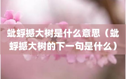 蚍蜉撼大树是什么意思（蚍蜉撼大树的下一句是什么）