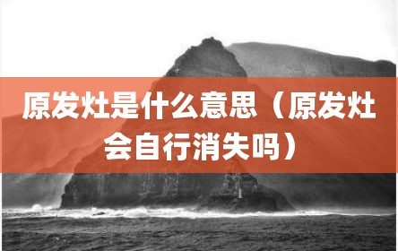 原发灶是什么意思（原发灶会自行消失吗）