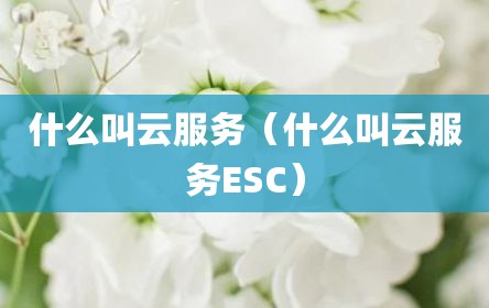 什么叫云服务（什么叫云服务ESC）